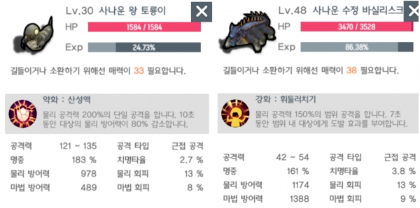 인기 좋은 토룡이와 바실