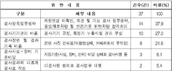 민간검사소 부정검사 의심 특별점검 세부 위반사항. [자료=환경부]