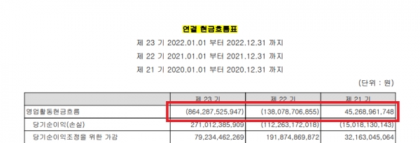 엘앤에프 2022 사업보고서[사진=인터넷 화면 캡처]