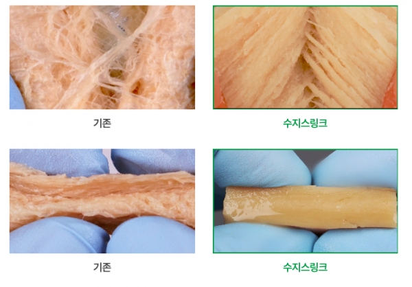 삼양식품이 HMMA(고수분 식물성 단백질) 제조 기술을 갖춘 수지스링크에 30억원 규모의 투자를 유치했다.[사진=수지스링크 홈페이지 캡쳐]