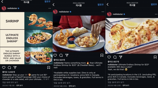 레드랍스터가 고물가로 인한 비용 급등과 무한리필 메뉴 가격 정책 실패로 인해 파산 신청을 한 것으로 알려졌다.[사진=레드랍스터 인스타그램 캡쳐]